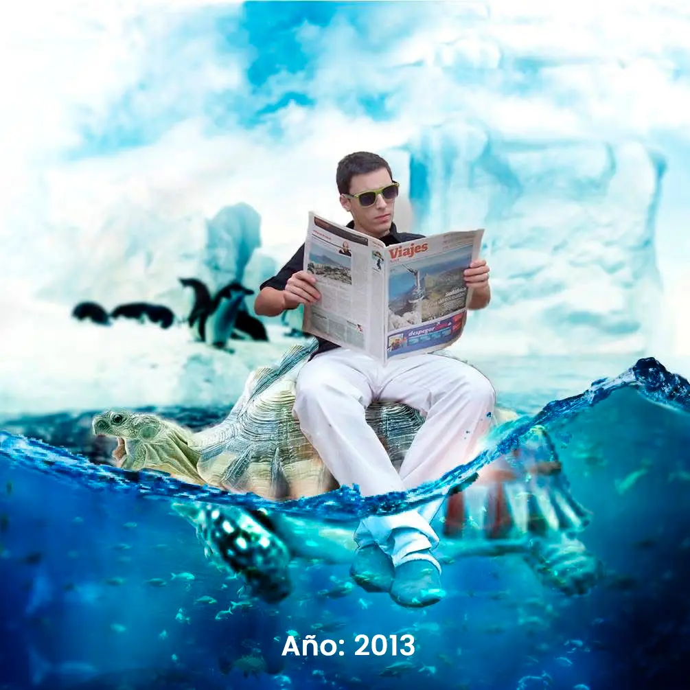 Tortuga-año-2013---Br1-Diseño-Grafico