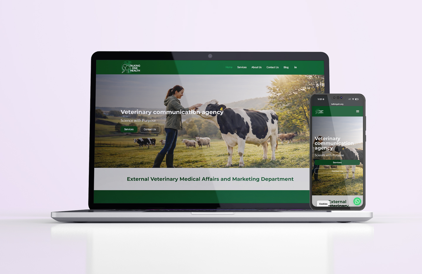 Diseñador-web-Córdoba-Talking-One-Health