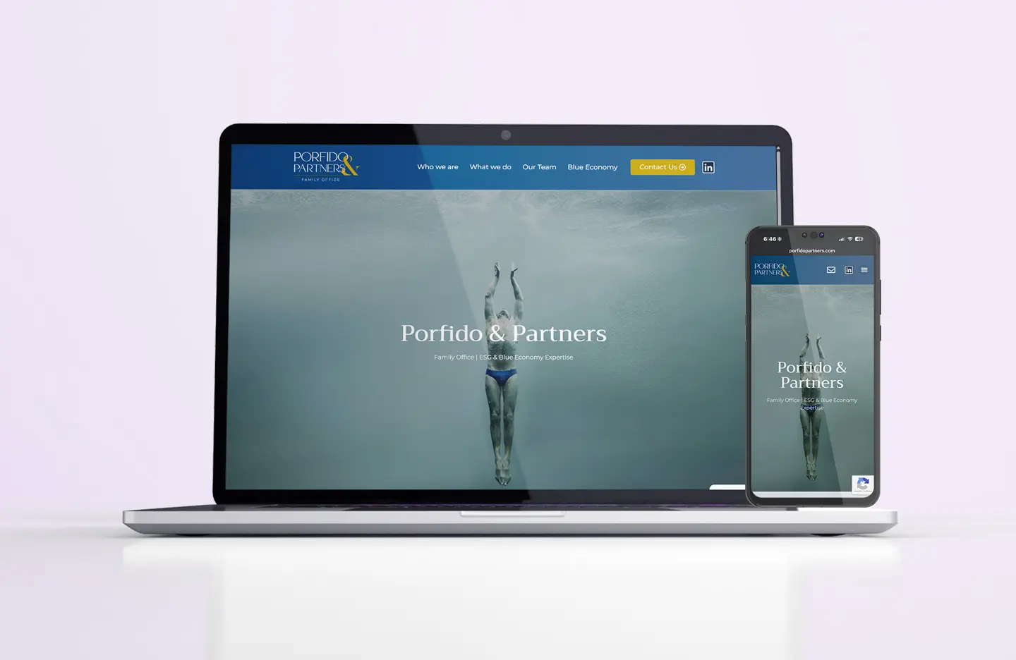 Web-Design-Porfido&Partners-Br1
